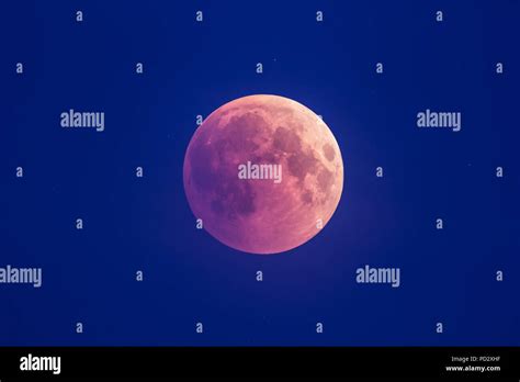 Super Bloody Moon, beginning of full eclipse phase against blue starry ...