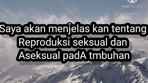 Penjelasn Reproduksi Seksual Dan Aseksual Pada Tumbuhan Youtube