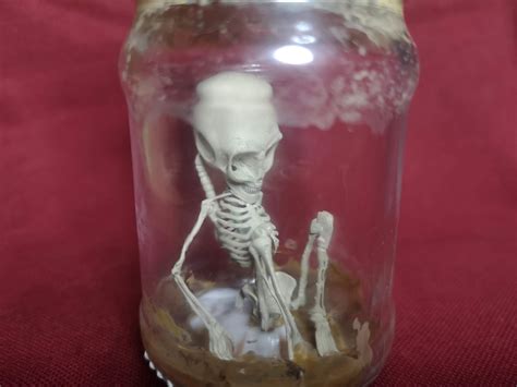 Alien Skeleton, Skeleton in the Jar 3D Print Model STL - Etsy