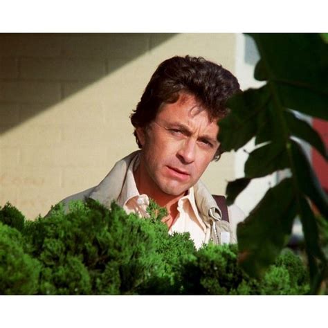 Bill Bixby The Incredible Hulk