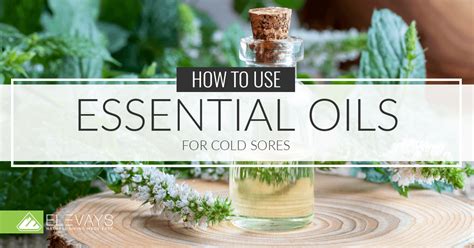 Essential Oils For Cold Sores Elevays