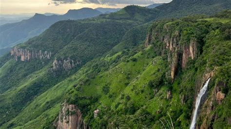 Amas El Bosque Visita El Para So De Miradores Naturales Y Una Hermosa