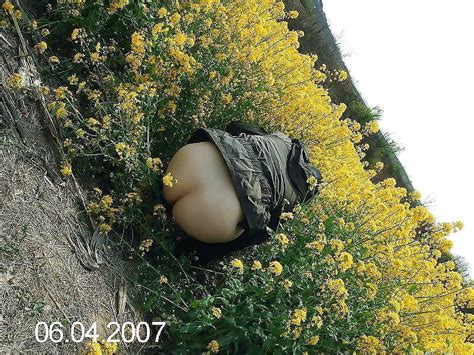 Asian Mature Milf A Porn Pic