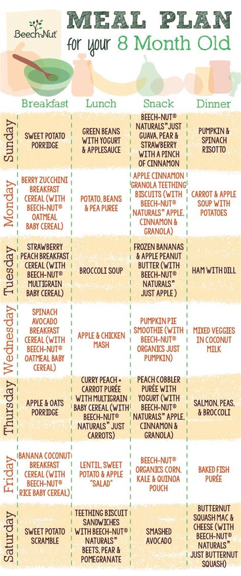 Baby Food Meal Plan For Your 8 Month Old Adding Texture Artofit