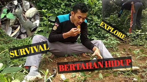 Bertahan Hidup Di Hutan Survival Explor Hutan YouTube