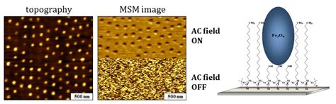 Magnetic Sample Modulation AFM Garno Research Group