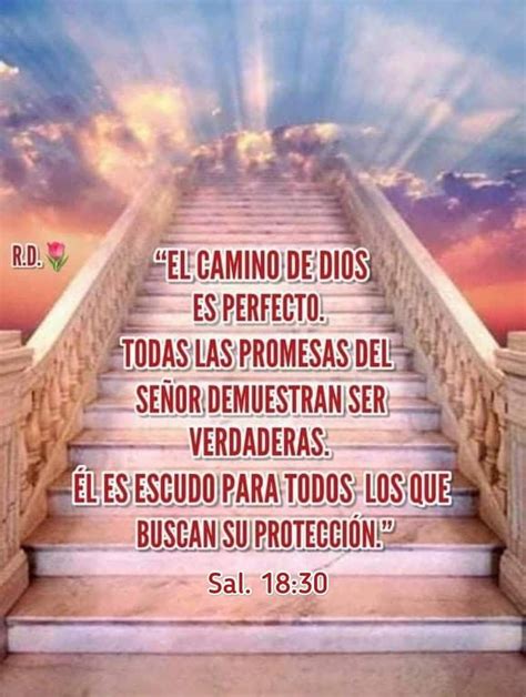 Pin En Promesas De Dios Frases Bonitas De Vida Palabra De Dios