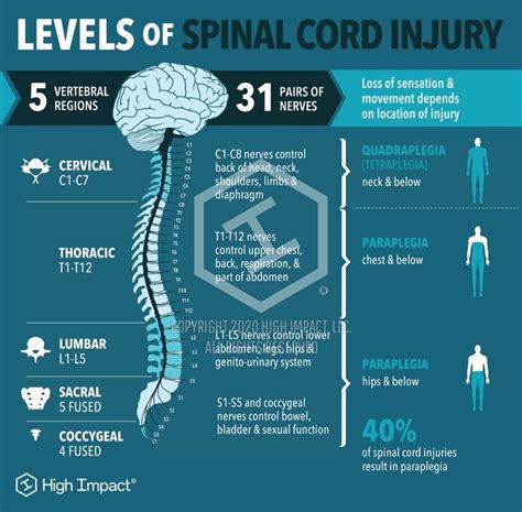 Spinal Cord Injury — Chattanooga Spine And Body