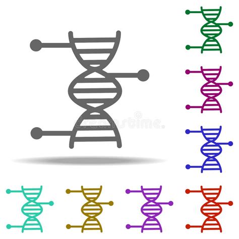 Dna Biology Icon Elementen Van De Genetica En Biotechnologie In