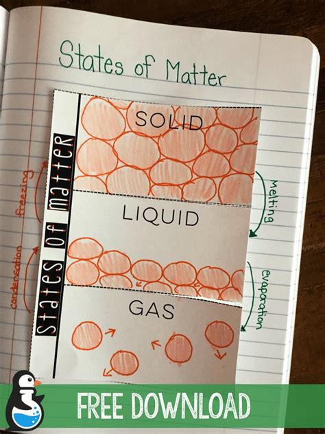 States Of Matter Fold Up — The Science Penguin