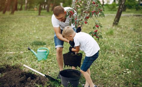 Jardiner Avec Les Enfants Que Peut On Faire Au Jardin