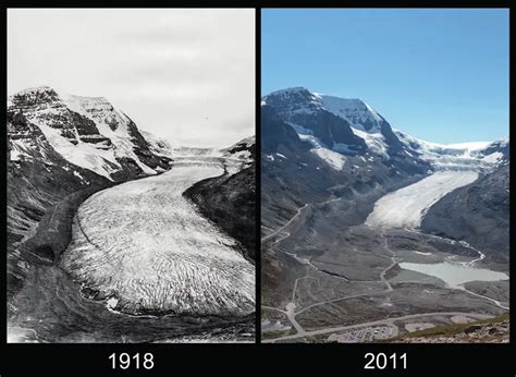 How to Visit the ATHABASCA GLACIER in Jasper - SEEING THE ELEPHANT