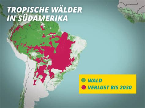 Der Amazonas N Hert Sich Dem Kipppunkt Das Entscheidende Jahrzehnt