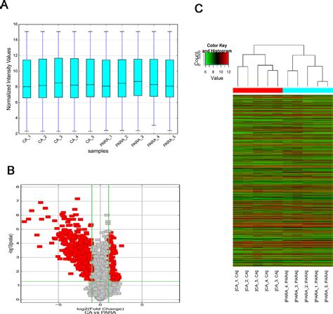 Figure 1 From Screening Differential Circular RNA Expression Profiles