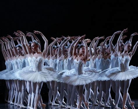 Stephen Baynes’ Swan Lake. The Australian Ballet (2016) – Michelle Potter