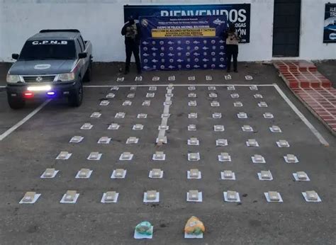 Droga en Paraguaná PNB localizó 80 panelas de marihuana