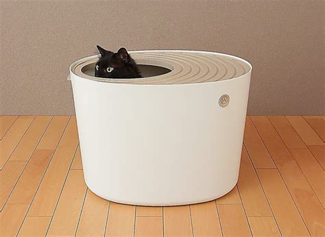 Covered Litter Box | The Scoop on the Best Covered Cat Litter Boxes