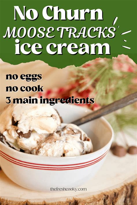 Best Moose Tracks Ice Cream Recipe No Churn Recipe In 2022 Moose Tracks Ice Cream Recipe