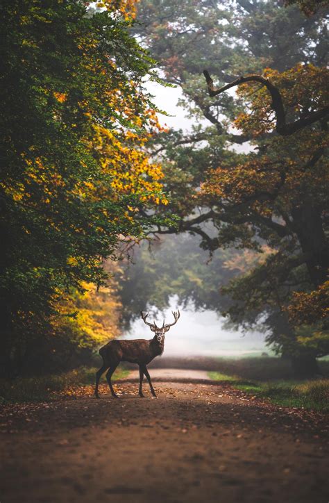 453 Best Copenhagen Denmark Images On Pholder City Porn Architecture Porn And Pics