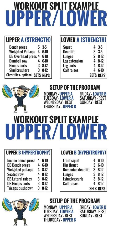 8 Powerful Muscle Building Gym Training Splits