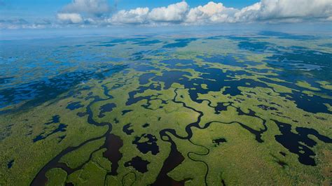 Nature Horizon USA Drone Photo Landscape Florida Forest Aerial