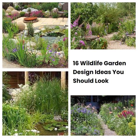 16 Wildlife Garden Design Ideas You Should Look Sharonsable