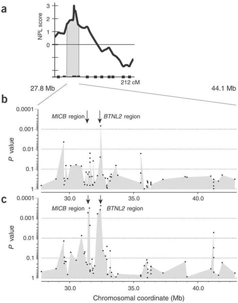 Graphical Representation Of The Stage I Snp Screen On Chromosome