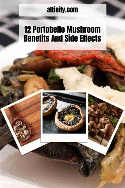 12 Portobello Mushroom Benefits And Side Effects Altinify