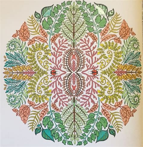 Pin By Jacqueline Steenson On Basfords Coloring Books Johanna Basford