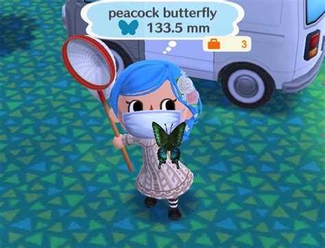 Animal Crossing Pocket Camp Butterflies Book Of Jen