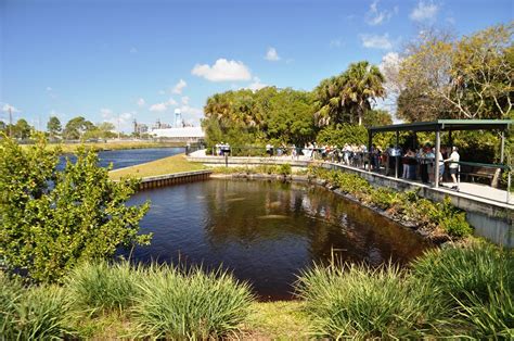 Laughing and Paddling at Manatee Park in Fort Myers, Fla. - Solo Travel ...