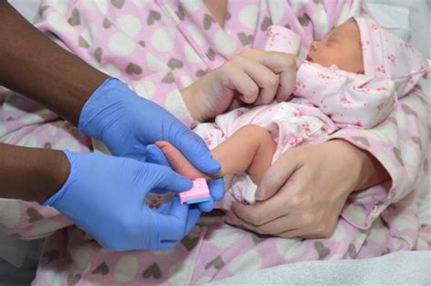 Newborn Blood Spot Screening Handbook Just Got Better Phe Screening