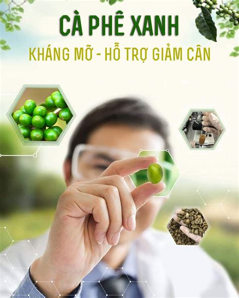 Cà Phê Xanh Thức Uống Kháng Mỡ Hỗ Trợ Giảm Cân An Toàn Hiệu Quả