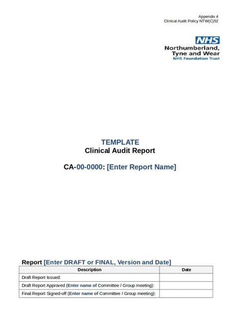 Free 11 Clinical Audit Report Templates In Pdf Ms Word