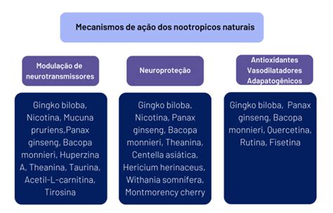 Nootropicos O Que É