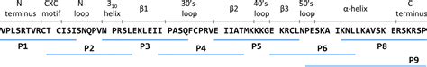 Disparate Regions Of The Human Chemokine Cxcl10 Exhibit Broad Spectrum