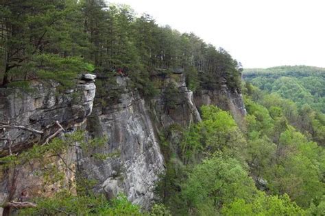 Endless Wall Trail in New River Gorge National River, WV Hiking Guide ...