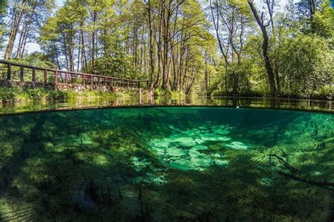 Rezerwat Przyrody Niebieskie R D A Green Areas And Nature