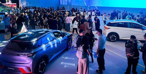 Byd Launches Dolphin As Its 4th Ev In Mexico Cnevpost