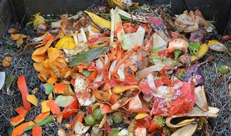 Residuos orgánicos: qué son, características, ejemplos y reciclaje