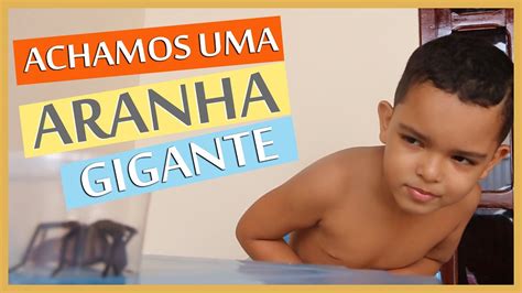 Achamos Aranha Gigante Banho de Mangueira Escorregando no chão