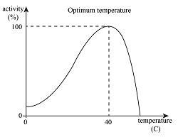 Enzymes Have Different Activity Levels At Different Temperatures B