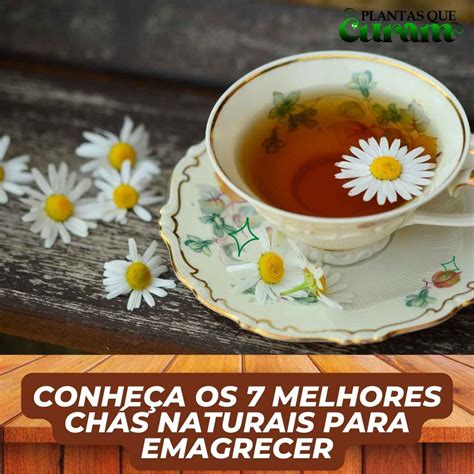 Conhe A Os Melhores Ch S Naturais Para Emagrecer