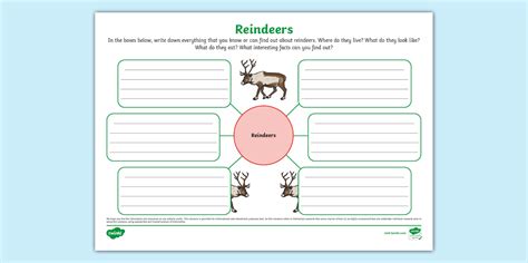 New Reindeers Mind Map Lehrer Gemacht Twinkl