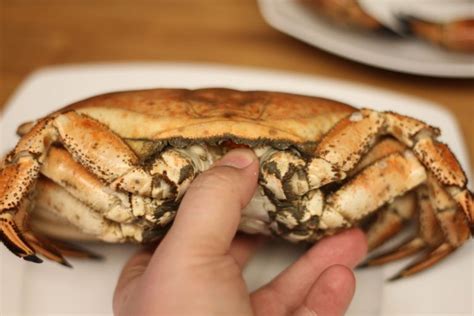 Cómo cocer un Buey de mar Receta de marisco De Rechupete