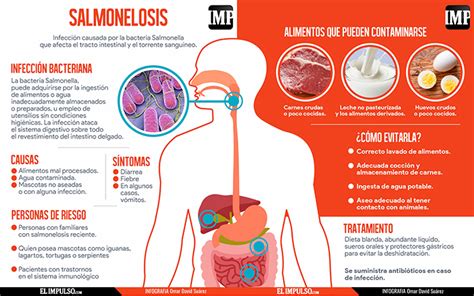 Infografía Salmonelosis conoces las causas y quién es la población