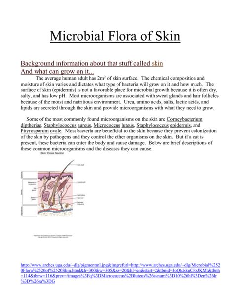 Microbial Flora of Skin