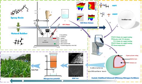 Frontiers Coated Stabilized Enhanced Efficiency Nitrogen Fertilizers