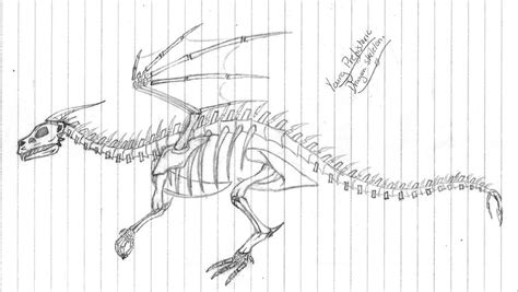 Juvenile Prehistoric Dragon Skeleton by piratedragon0402 on DeviantArt