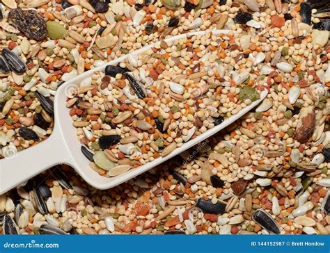 Birdseed With Scoop In The Center Stock Image Image Of Color